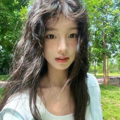 百鸟朝凤